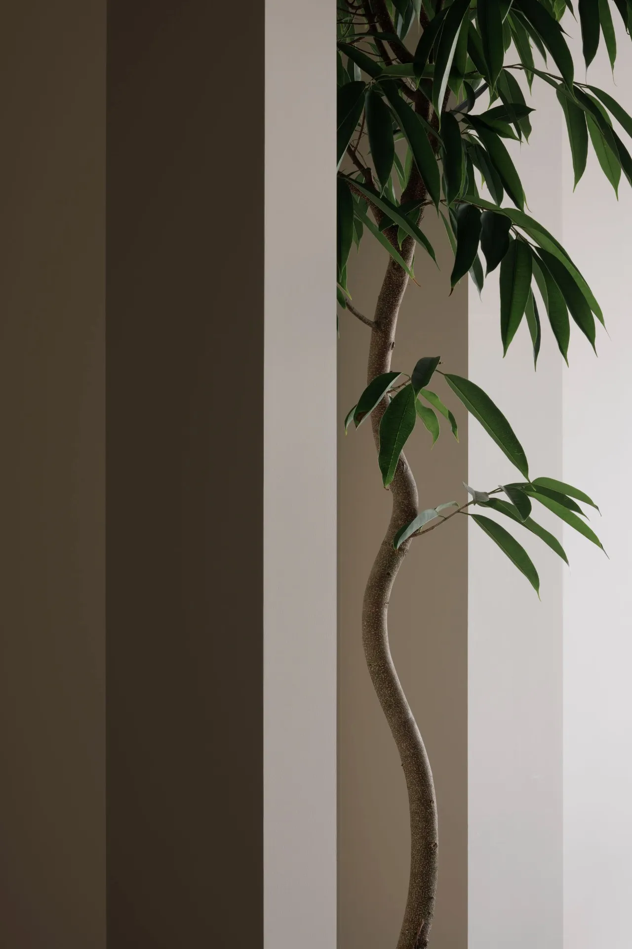 achieve till Smartsalon